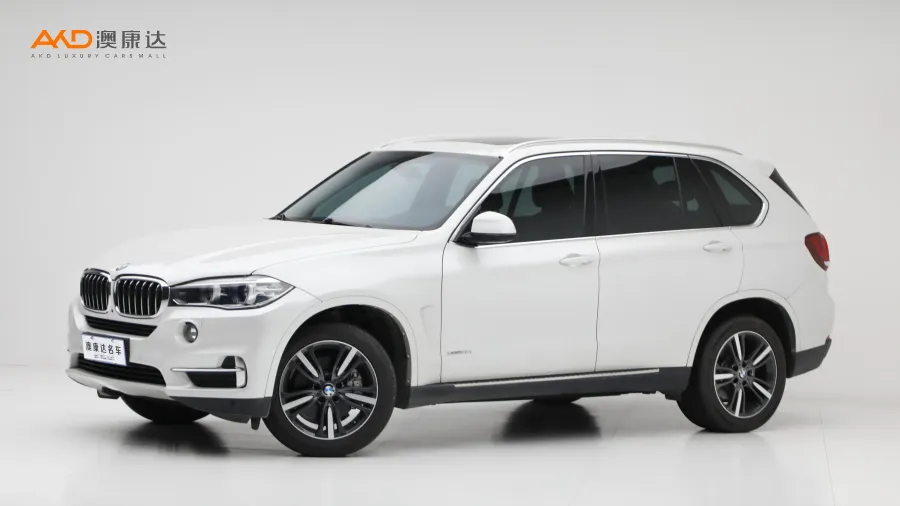 二手寶馬X5 xDrive35i 典雅型圖片