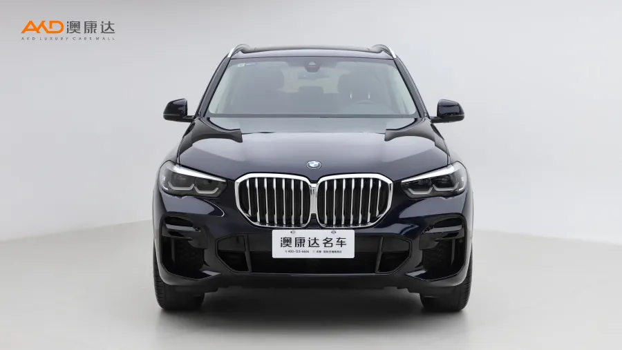 二手寶馬X5 xDrive30i M運(yùn)動(dòng)套裝圖片3672991