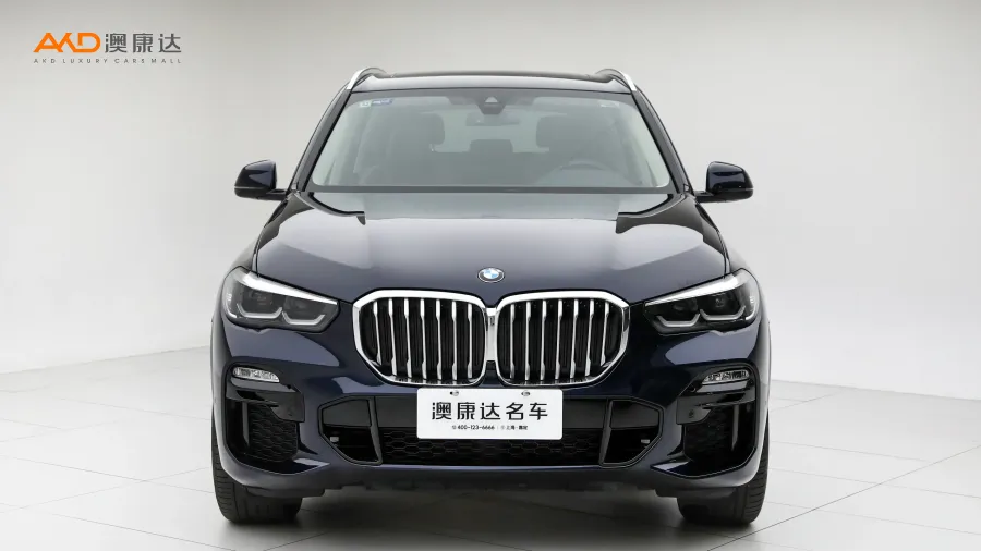 二手寶馬X5 xDrive30i M運(yùn)動(dòng)套裝圖片3676415