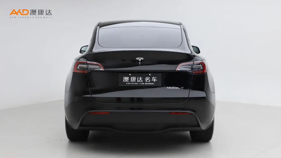 二手特斯拉Model Y 長續(xù)航全輪驅動版圖片3676716