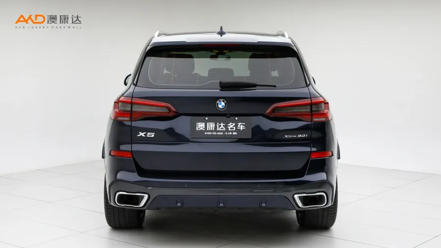 二手寶馬X5 xDrive30i M運(yùn)動(dòng)套裝圖片3676421