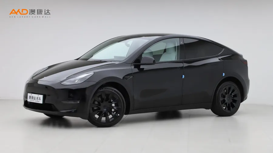 二手特斯拉Model Y 長續(xù)航全輪驅(qū)動版圖片