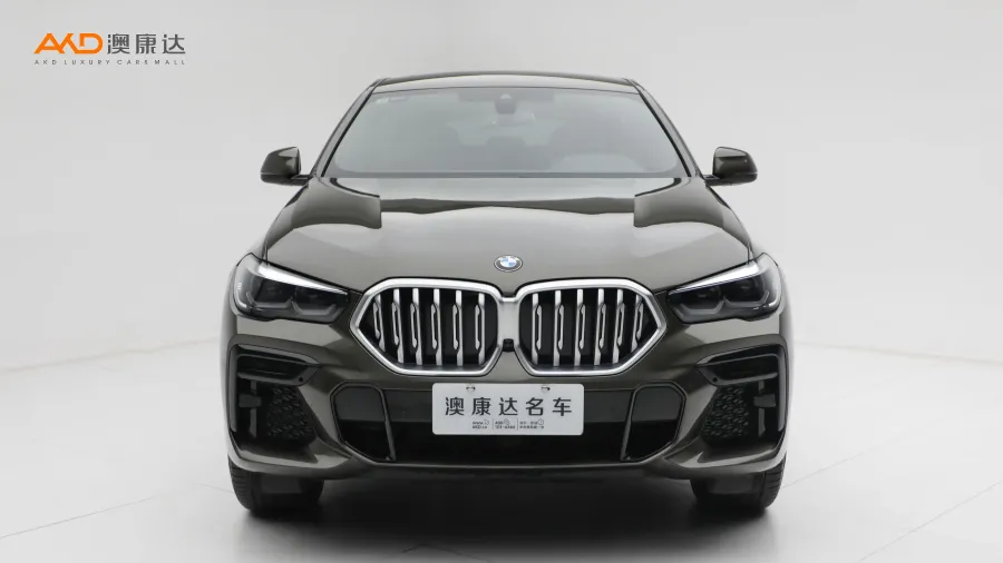 二手寶馬X6 xDrive30i M運(yùn)動套裝圖片3681647