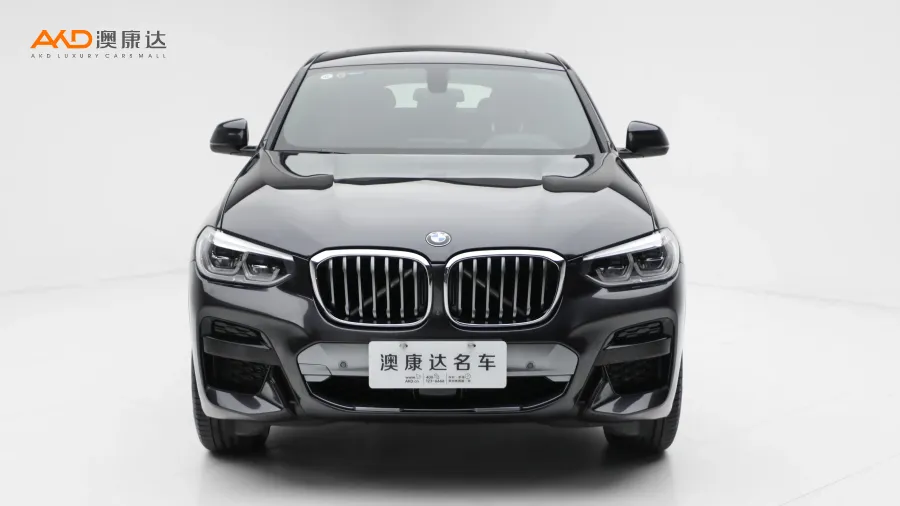 二手寶馬X4 xDrive30i M運(yùn)動(dòng)套裝圖片3687112