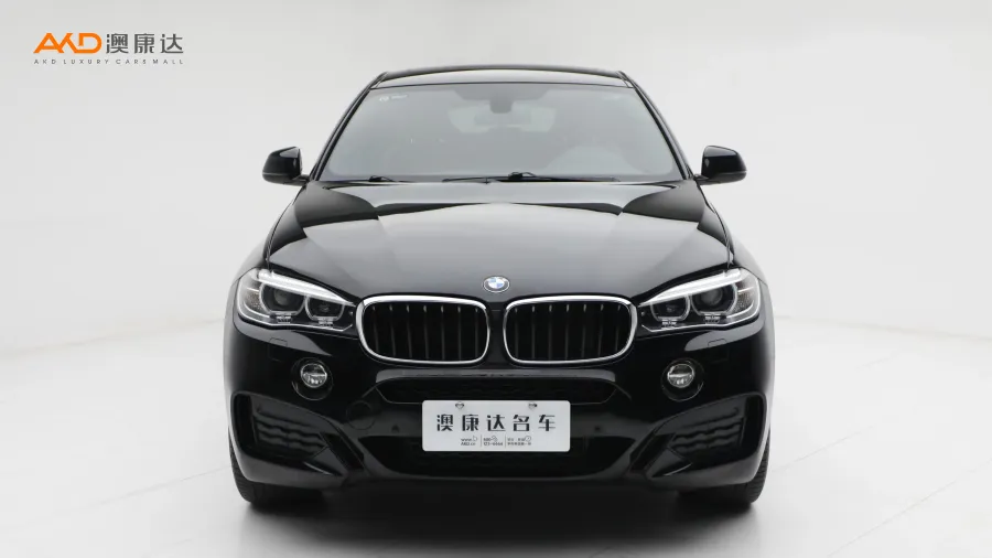 二手寶馬X6 xDrive35i 中東版圖片3688293