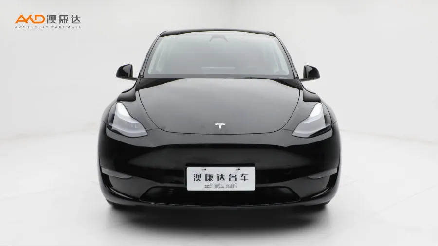 二手特斯拉Model Y 改款 長(zhǎng)續(xù)航全輪驅(qū)動(dòng)版圖片3691811