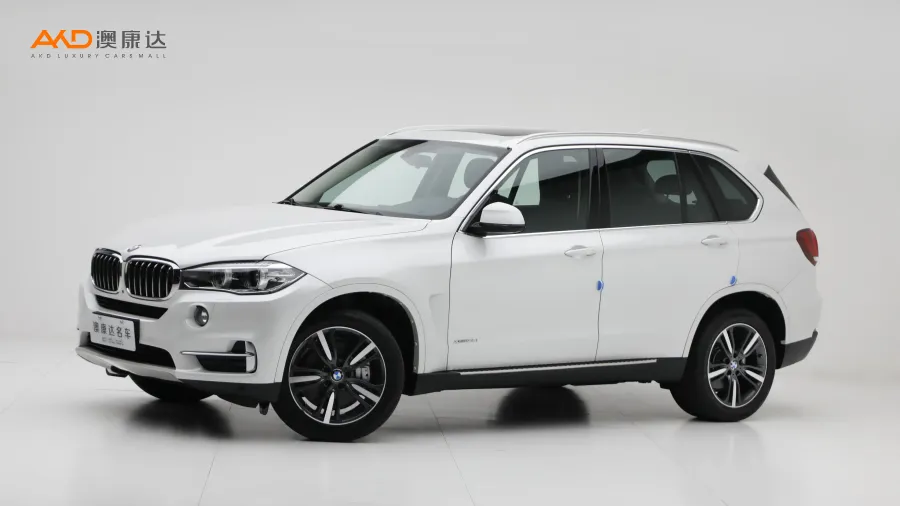 二手寶馬X5 xDrive35i 典雅型圖片