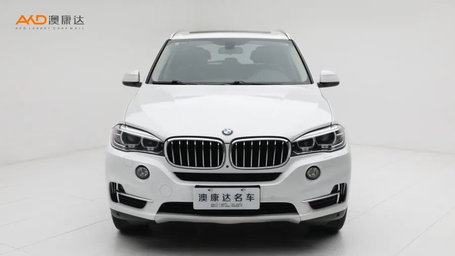 二手寶馬X5 xDrive35i 典雅型圖片3695216