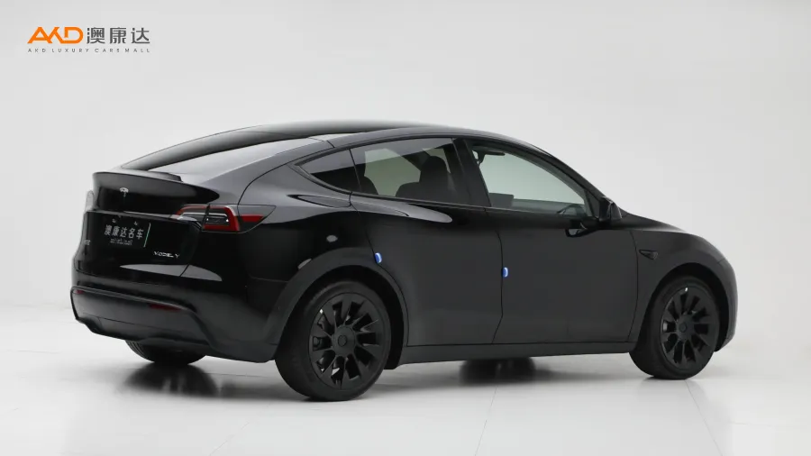 二手特斯拉Model Y 后輪驅動版圖片3695344