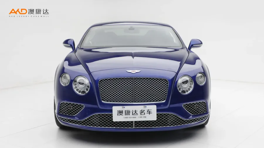 二手歐陸 4.0T GT V8 標(biāo)準(zhǔn)版圖片3700095