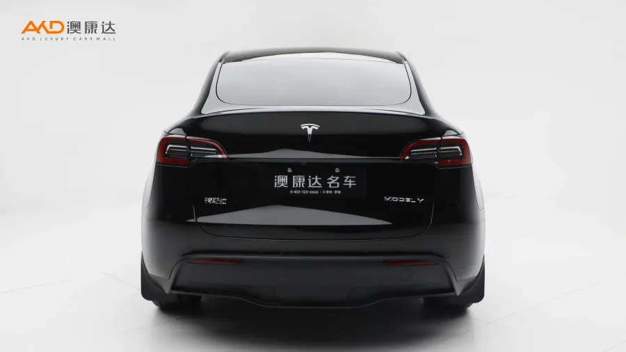 二手特斯拉Model Y 后輪驅(qū)動(dòng)版圖片3699850