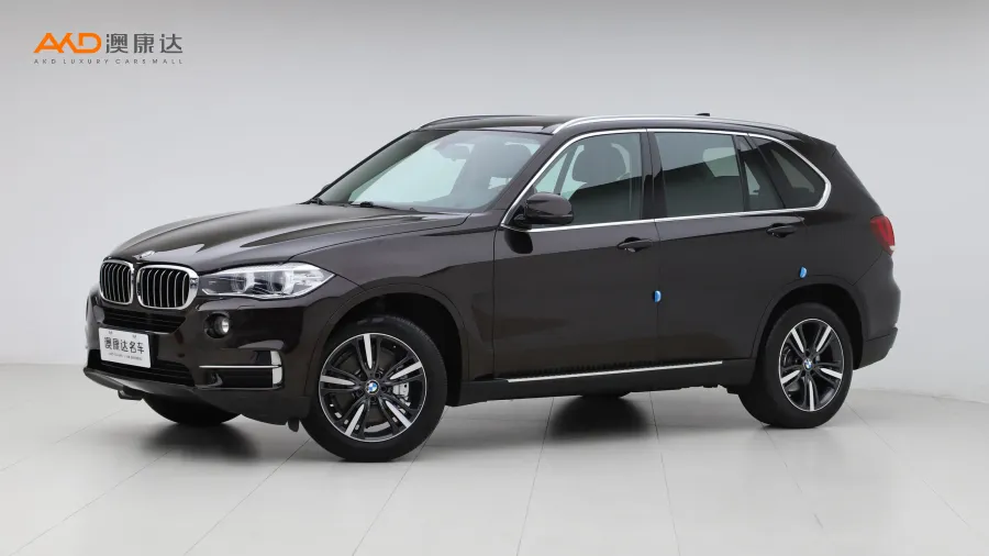 二手寶馬X5 xDrive35i 典雅型圖片