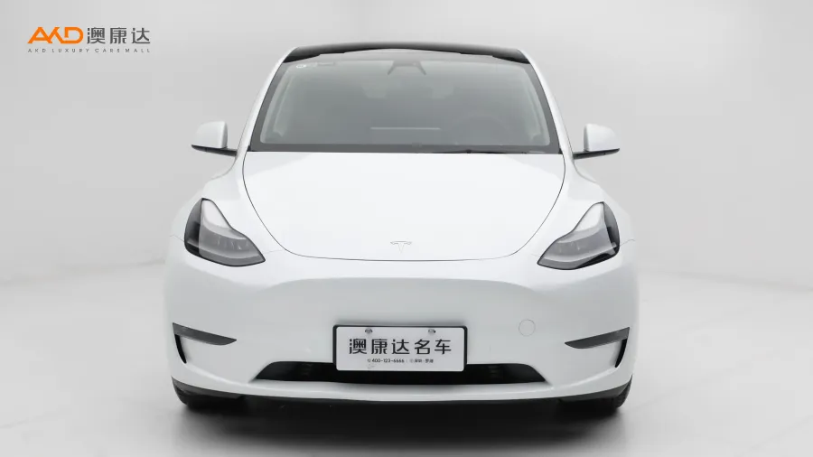 二手特斯拉Model Y 長(zhǎng)續(xù)航全輪驅(qū)動(dòng)版圖片3704671