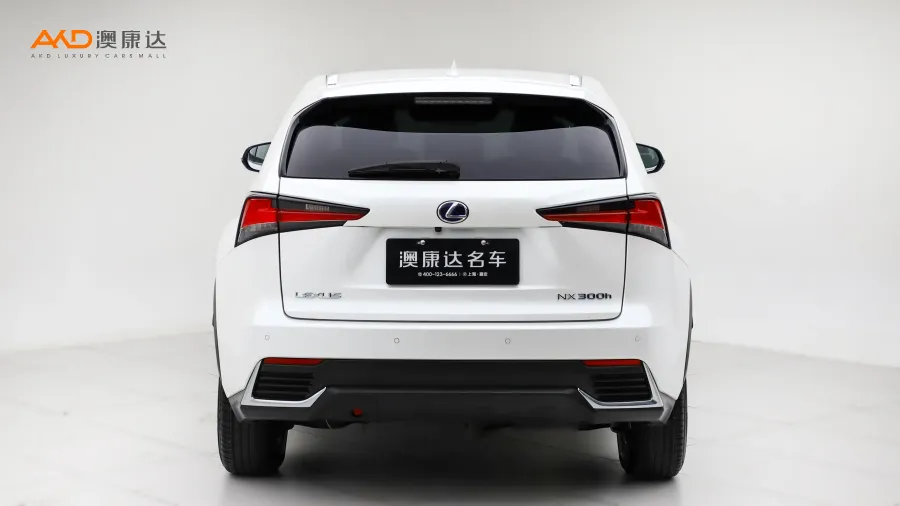 二手雷克薩斯 NX300h 前驅(qū) 鋒尚版圖片3706769