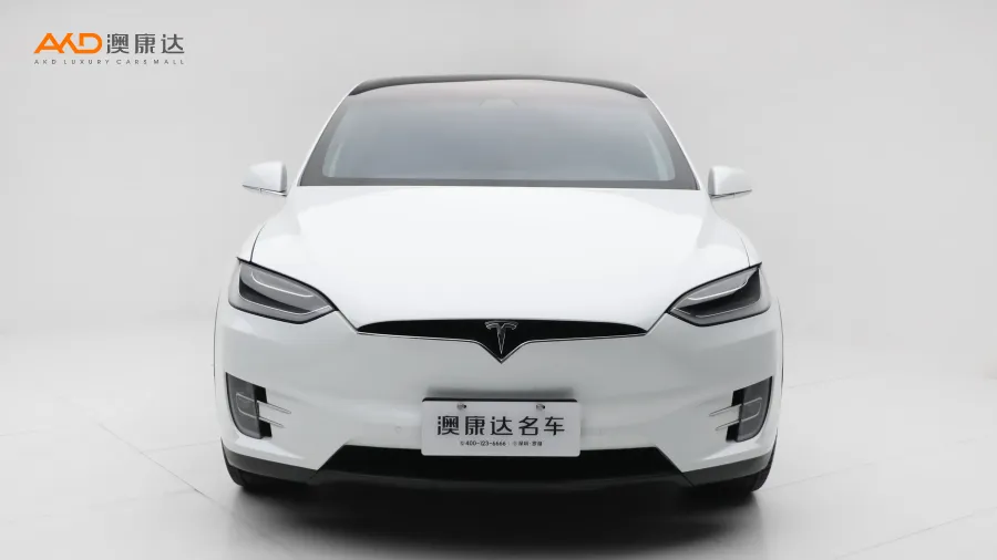 二手特斯拉Model X 100D 長續(xù)航版圖片3708950