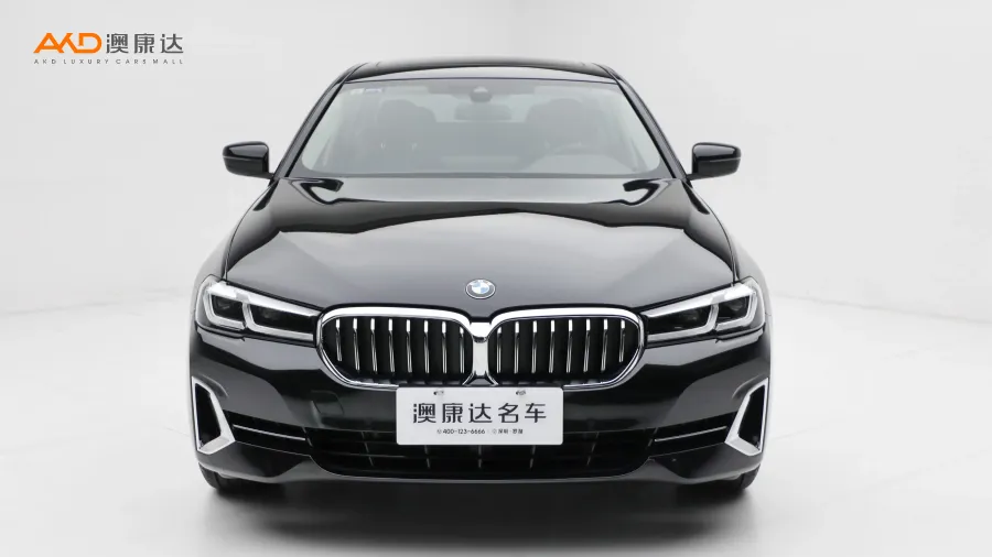 二手寶馬530Li  改款 領(lǐng)先型 豪華套裝圖片3712748