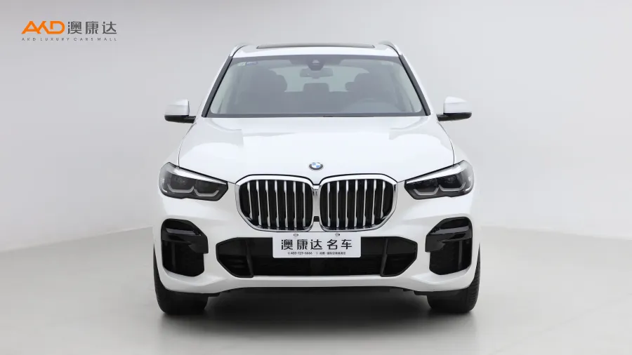 二手寶馬X5 xDrive30i M運(yùn)動(dòng)套裝圖片3719858