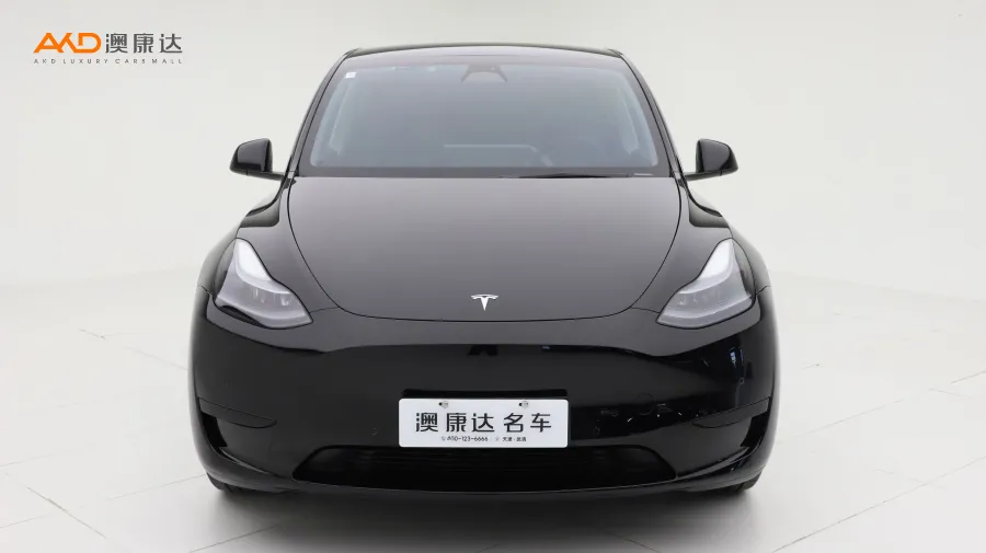 二手特斯拉Model Y 改款 后輪驅(qū)動(dòng)版圖片3723948