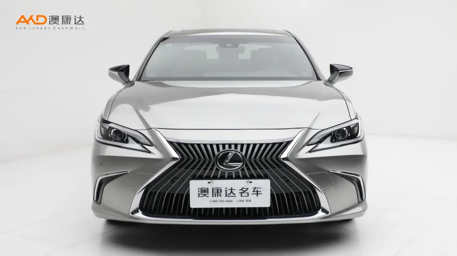 二手雷克萨斯ES200  卓越版图片3724911
