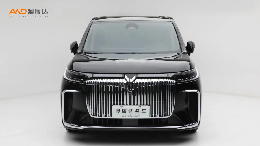 二手嵐圖夢想家 PHEV 四驅(qū)旗艦鯤鵬版圖片3730591