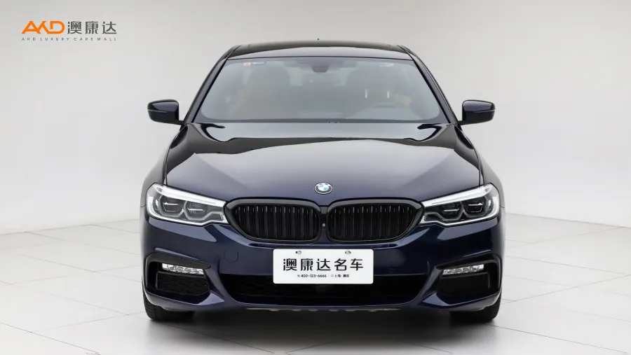 二手宝马530Li 尊享型M运动套装图片3737244