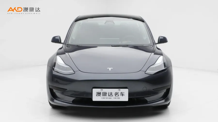 二手特斯拉Model 3 后輪驅(qū)動版圖片3738893