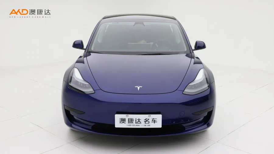 二手特斯拉Model 3 后輪驅(qū)動版圖片3738710