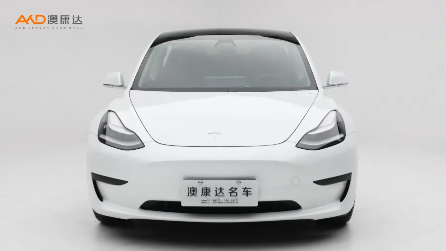 二手特斯拉Model 3 標準續(xù)航后驅(qū)升級版圖片3739865