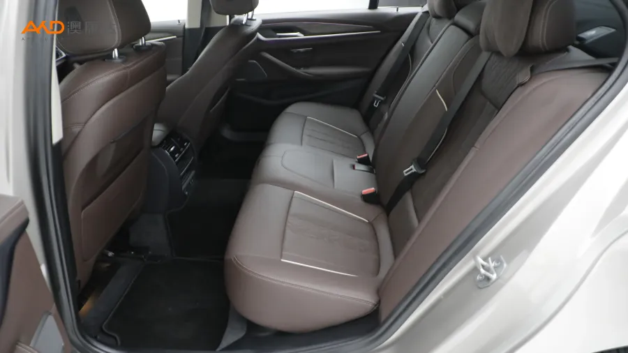 二手寶馬530Li 領(lǐng)先型 豪華套裝圖片3739187