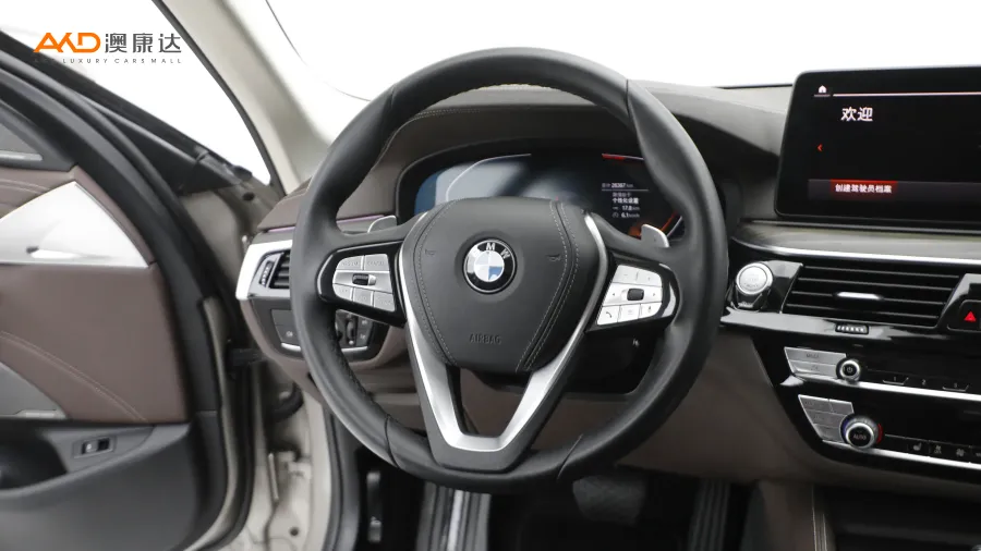 二手寶馬530Li 領(lǐng)先型 豪華套裝圖片3739190