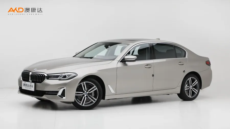 二手寶馬530Li 領(lǐng)先型 豪華套裝圖片