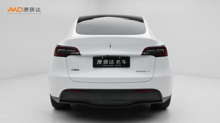 二手特斯拉Model Y 后輪驅(qū)動版圖片3742415