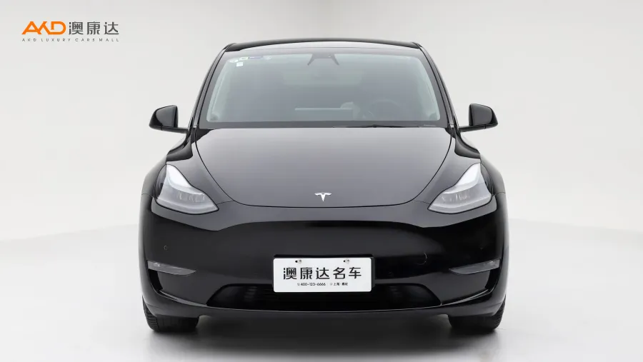 二手特斯拉Model Y 長續(xù)航全輪驅(qū)動版圖片3746456