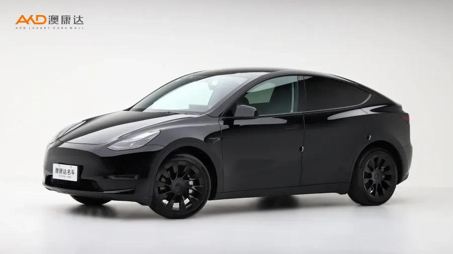 二手特斯拉Model Y 長續(xù)航全輪驅(qū)動版圖片