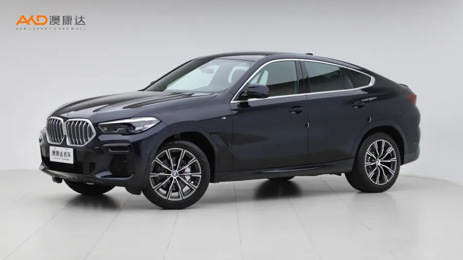 二手宝马X6 xDrive30i M运动套装图片