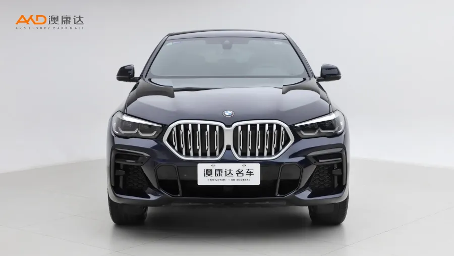 二手宝马X6 xDrive30i M运动套装图片3750137