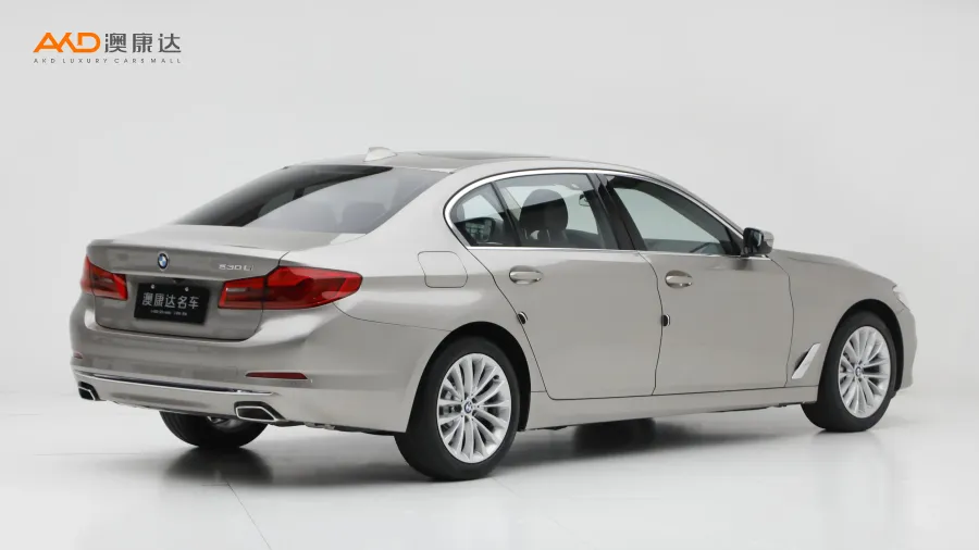 二手宝马530Li 领先型豪华套装图片3756732