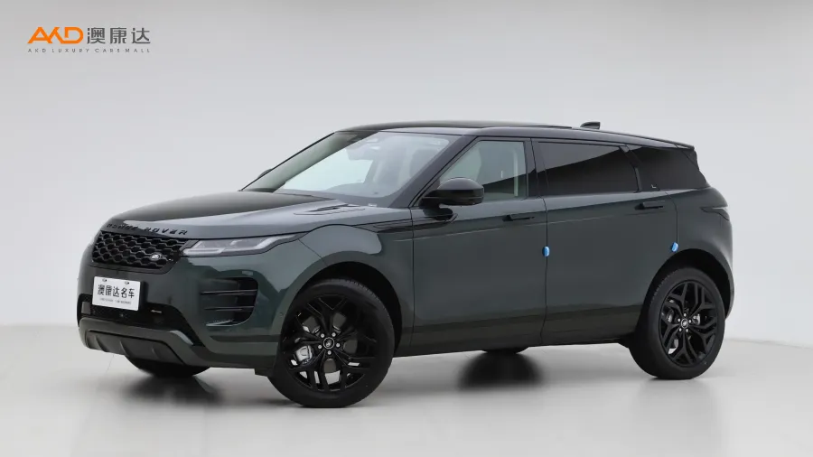 二手极光L 249PS R-Dynamic HSE 奢享版图片
