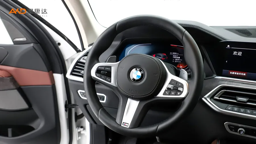二手宝马X5 xDrive40i M运动套装图片3764118