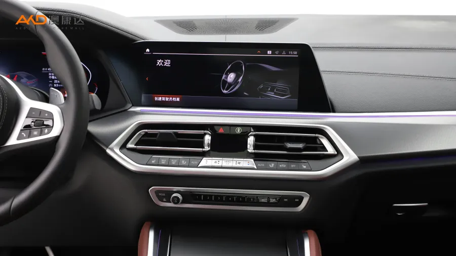 二手宝马X6 xDrive30i M运动套装图片3765710