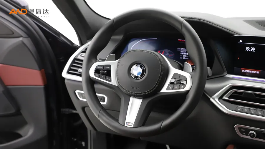二手宝马X6 xDrive30i M运动套装图片3765709