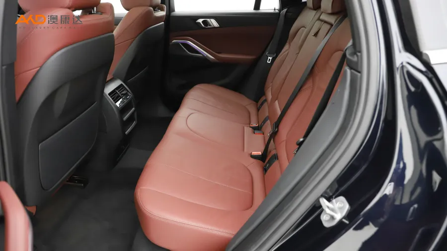 二手宝马X6 xDrive30i M运动套装图片3765706
