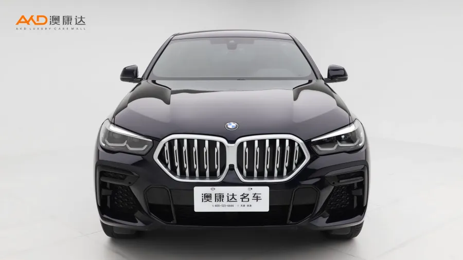 二手宝马X6 xDrive30i M运动套装图片3765691
