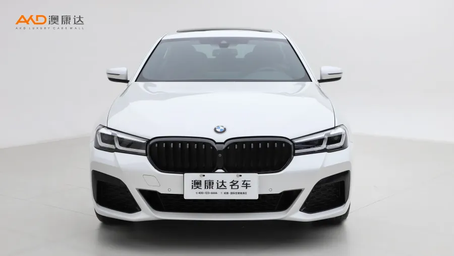 二手宝马530Li 改款二 尊享型 M运动套装图片3767224