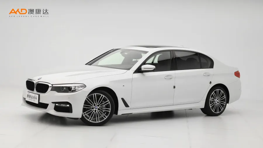 二手宝马530Li 领先型 M运动套装图片