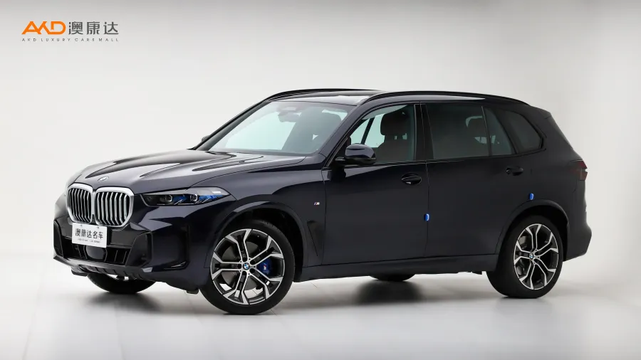 二手寶馬X5 xDrive40Li 尊享型M運(yùn)動(dòng)曜夜套裝圖片