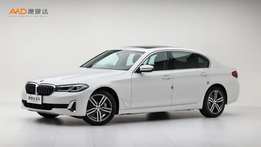 二手宝马530Li 改款 领先型 豪华套装图片