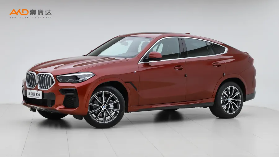 二手宝马X6 xDrive30i M运动套装图片