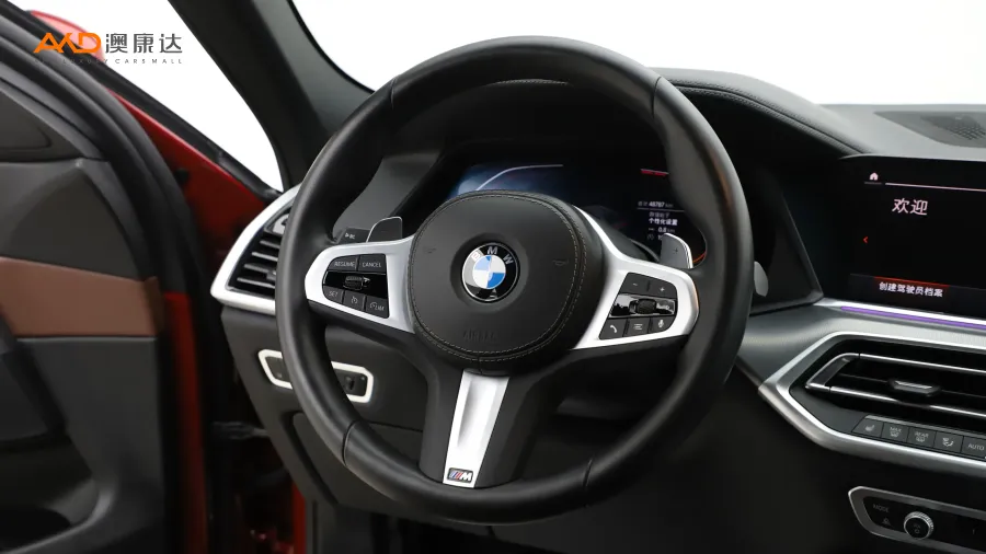 二手宝马X6 xDrive30i M运动套装图片3781779