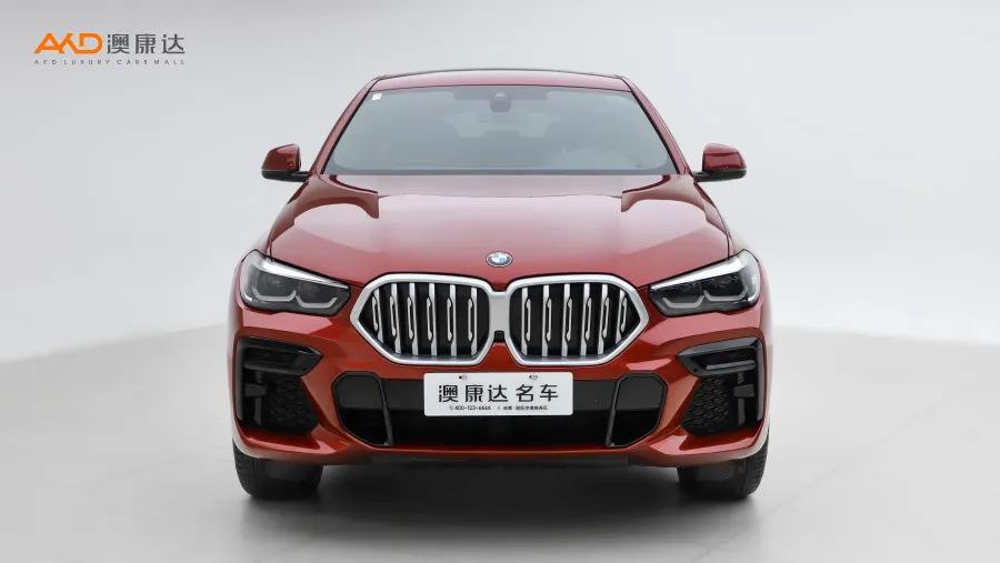 二手宝马X6 xDrive30i M运动套装图片3781744